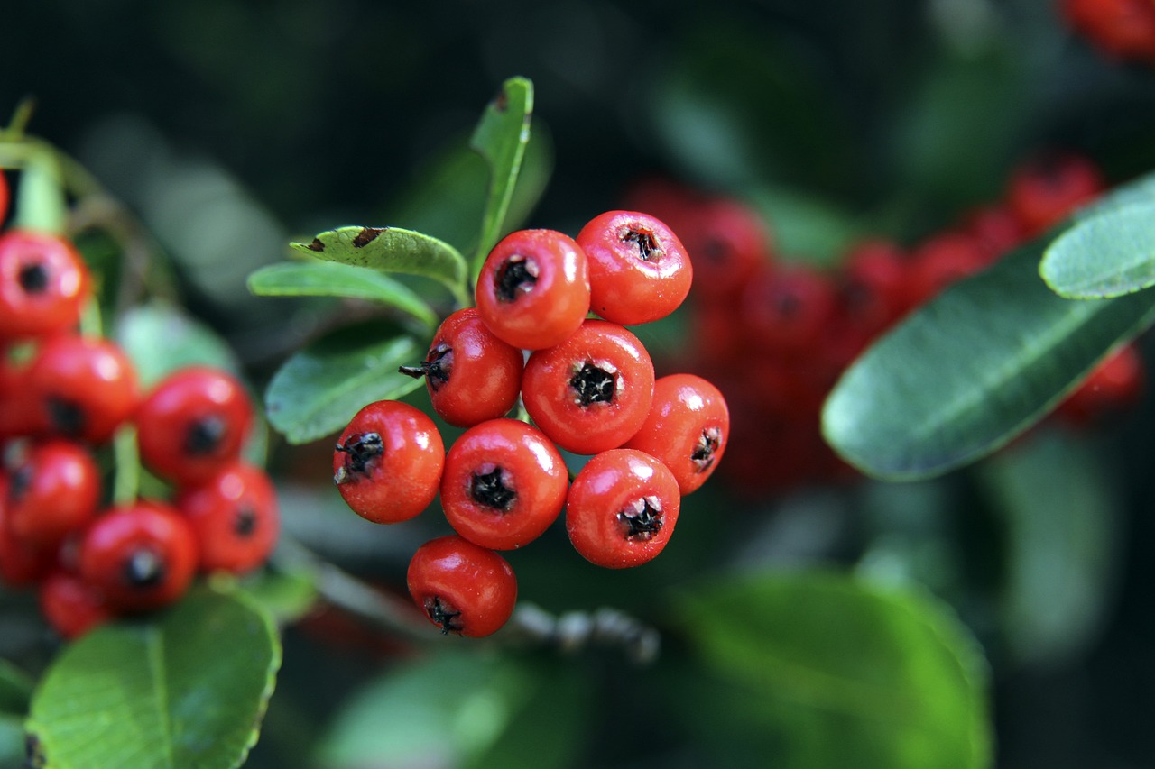 带队深陷降级区，队报：南特主帅卡斯特罗已被解雇